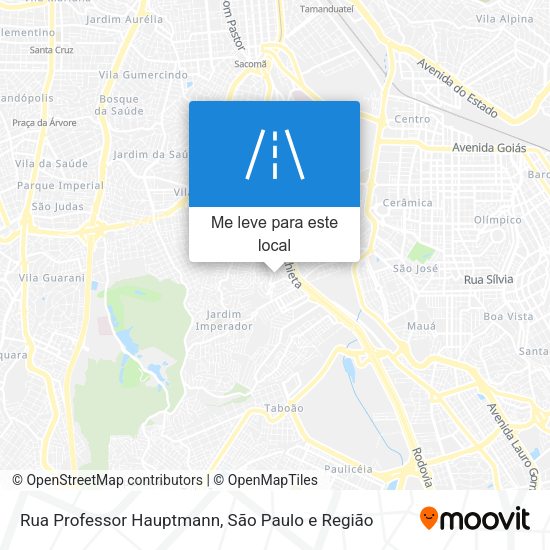 Rua Professor Hauptmann mapa