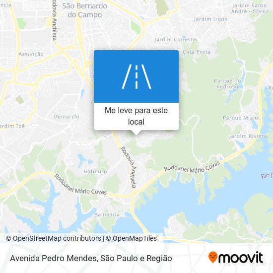 Avenida Pedro Mendes mapa