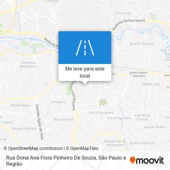 Rua Dona Ana Flora Pinheiro De Souza mapa