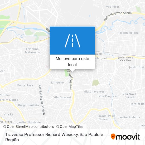 Travessa Professor Richard Wasicky mapa