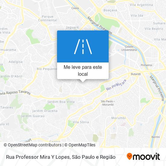 Rua Professor Mira Y Lopes mapa