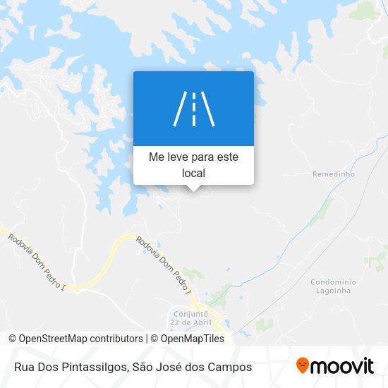 Rua Dos Pintassilgos mapa