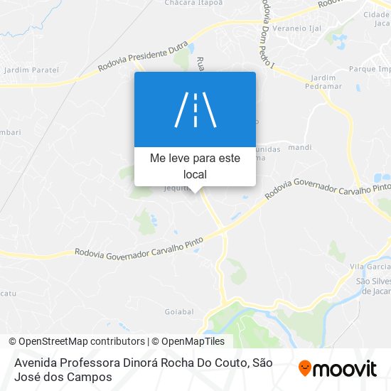 Avenida Professora Dinorá Rocha Do Couto mapa