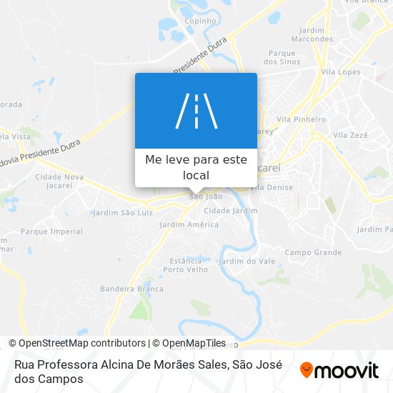 Rua Professora Alcina De Morães Sales mapa