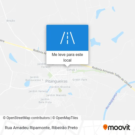Rua Amadeu Ripamonte mapa