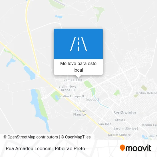 Rua Amadeu Leoncini mapa