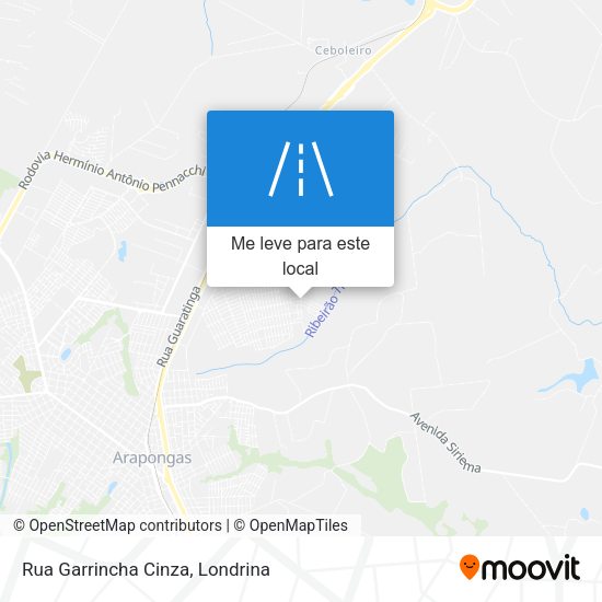Rua Garrincha Cinza mapa