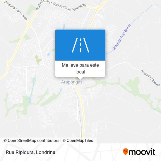 Rua Ripidura mapa