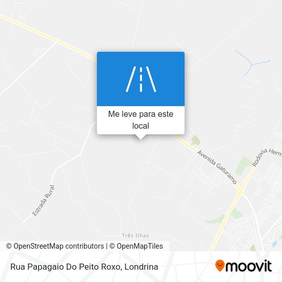 Rua Papagaio Do Peito Roxo mapa