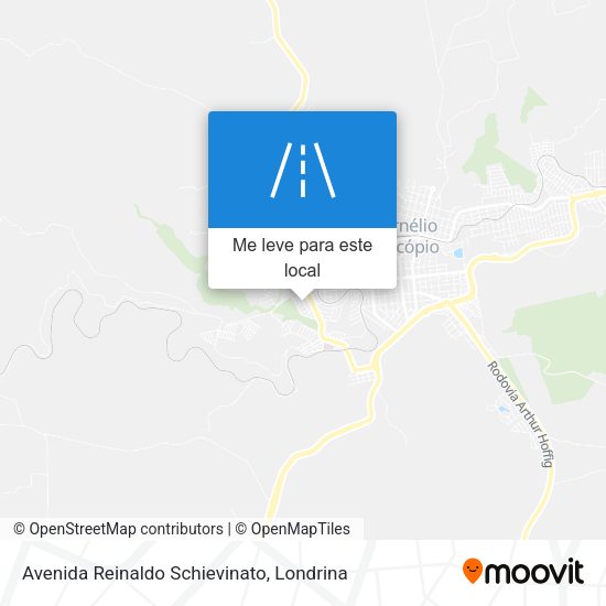 Avenida Reinaldo Schievinato mapa