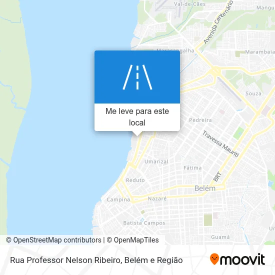 Rua Professor Nelson Ribeiro mapa