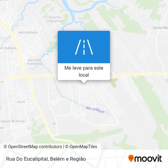 Rua Do Eucalipital mapa