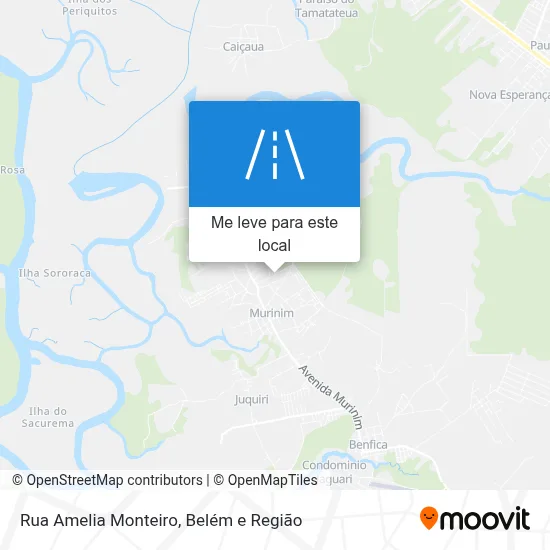 Rua Amelia Monteiro mapa