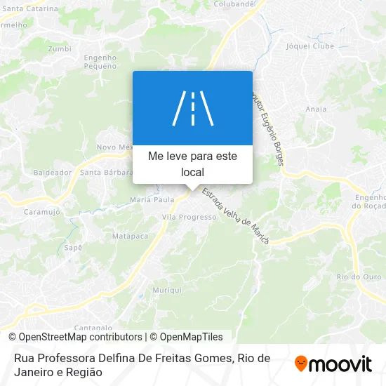 Rua Professora Delfina De Freitas Gomes mapa