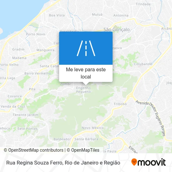 Rua Regina Souza Ferro mapa