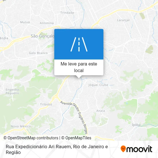 Rua Expedicionário Ari Rauem mapa