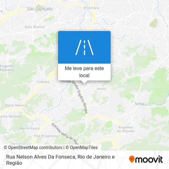 Rua Nelson Alves Da Fonseca mapa