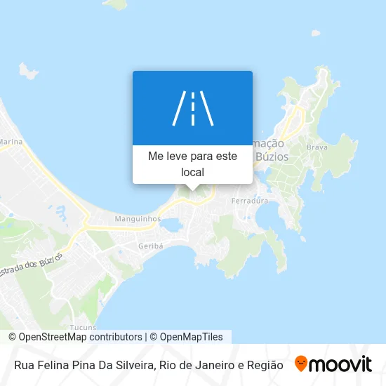 Rua Felina Pina Da Silveira mapa