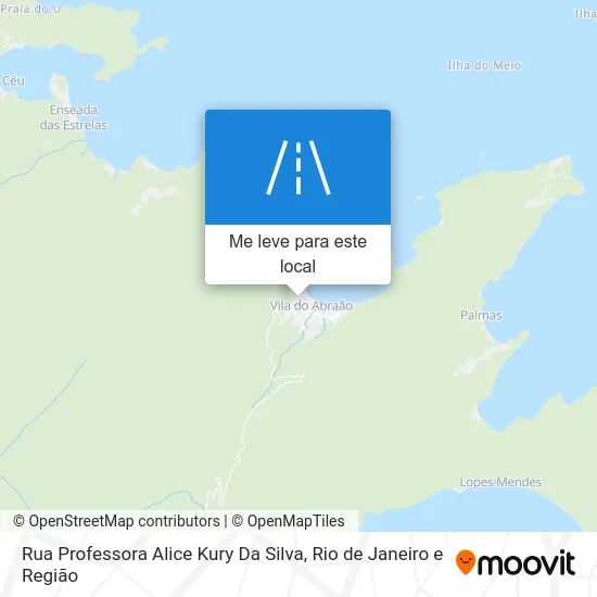 Rua Professora Alice Kury Da Silva mapa