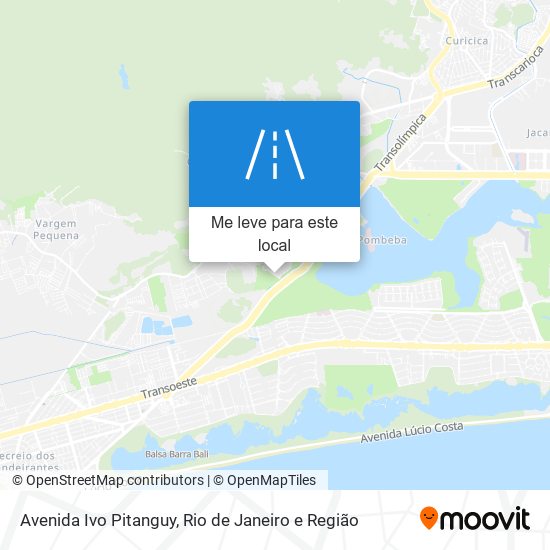 Avenida Ivo Pitanguy mapa