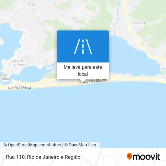 Rua 110 mapa