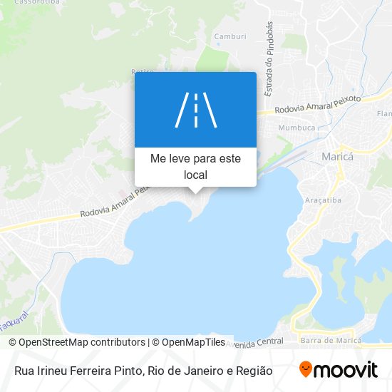 Rua Irineu Ferreira Pinto mapa