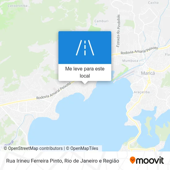 Rua Irineu Ferreira Pinto mapa