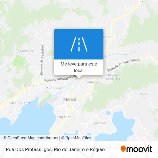 Rua Dos Pintassilgos mapa