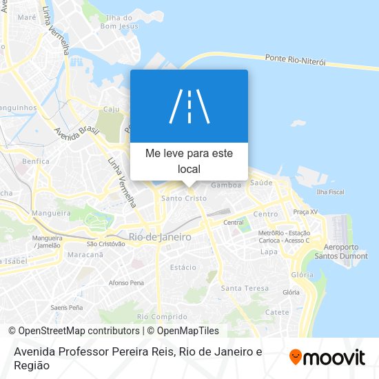 Avenida Professor Pereira Reis mapa