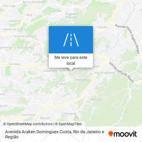 Avenida Araken Domingues Costa mapa