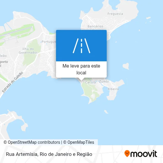 Rua Artemísia mapa