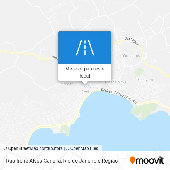 Rua Irene Alves Canella mapa