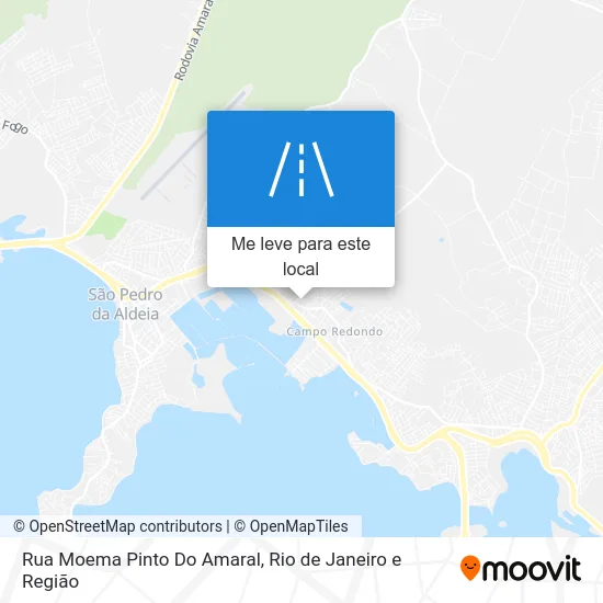 Rua Moema Pinto Do Amaral mapa