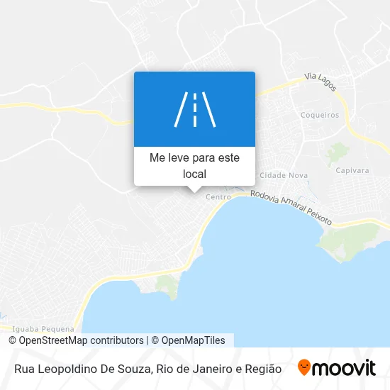 Rua Leopoldino De Souza mapa