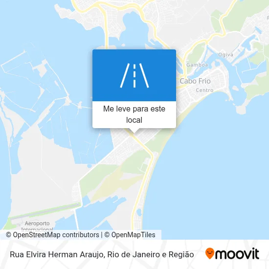 Rua Elvira Herman Araujo mapa
