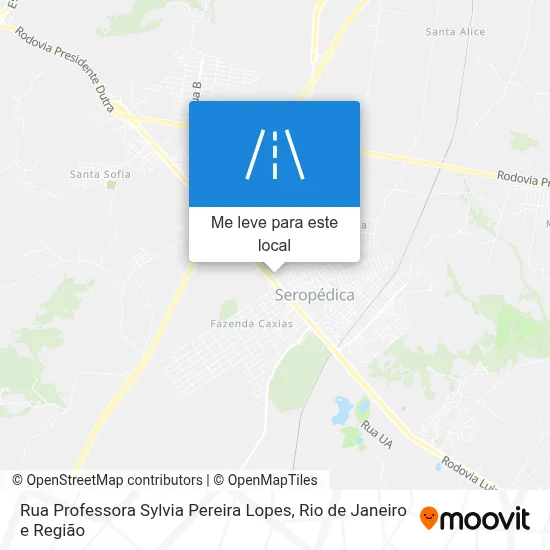Rua Professora Sylvia Pereira Lopes mapa