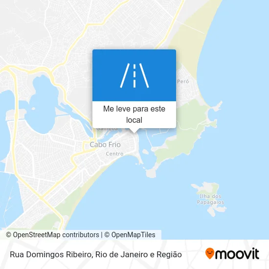 Rua Domingos Ribeiro mapa