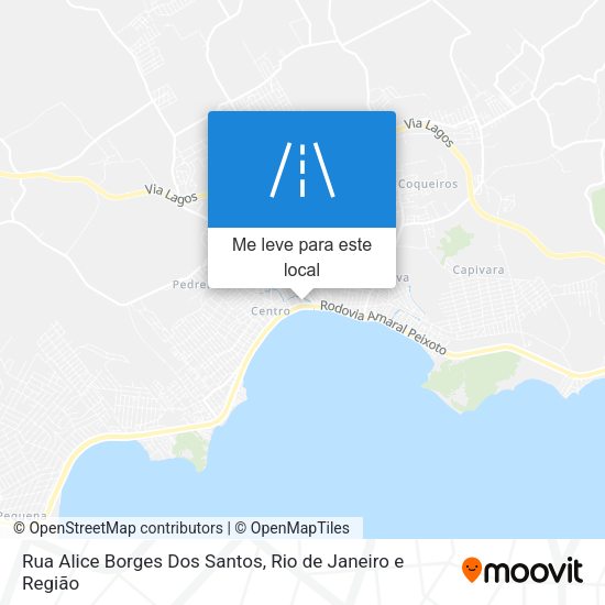 Rua Alice Borges Dos Santos mapa