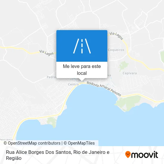 Rua Alice Borges Dos Santos mapa