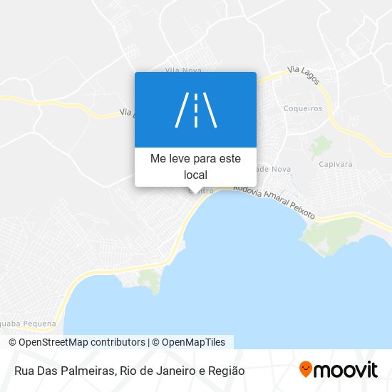 Rua Das Palmeiras mapa