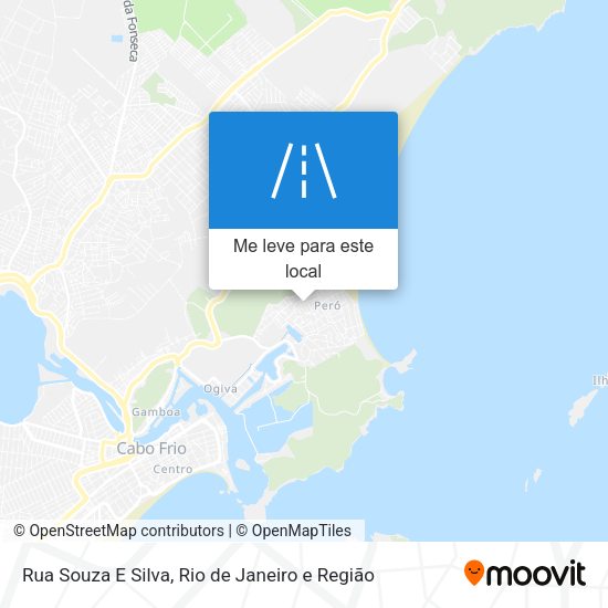 Rua Souza E Silva mapa