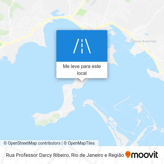 Rua Professor Darcy Ribeiro mapa