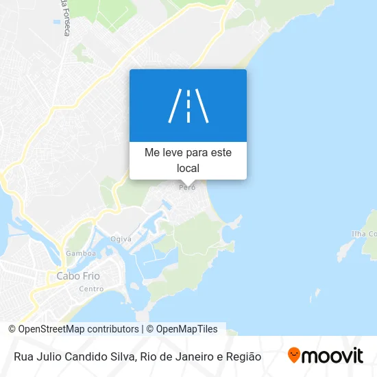 Rua Julio Candido Silva mapa