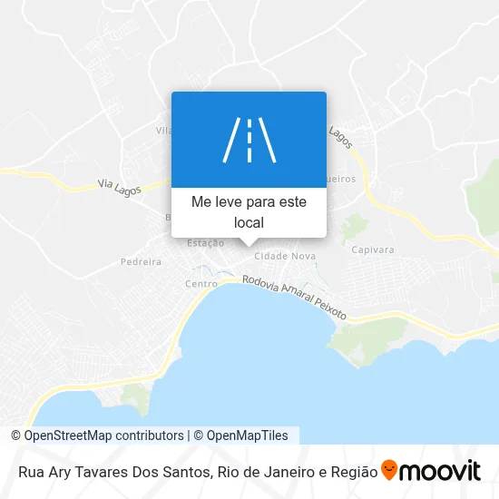 Rua Ary Tavares Dos Santos mapa