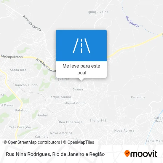 Rua Nina Rodrigues mapa