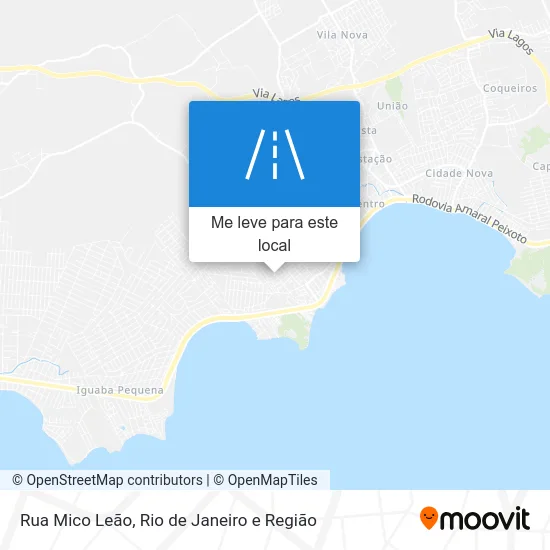 Rua Mico Leão mapa
