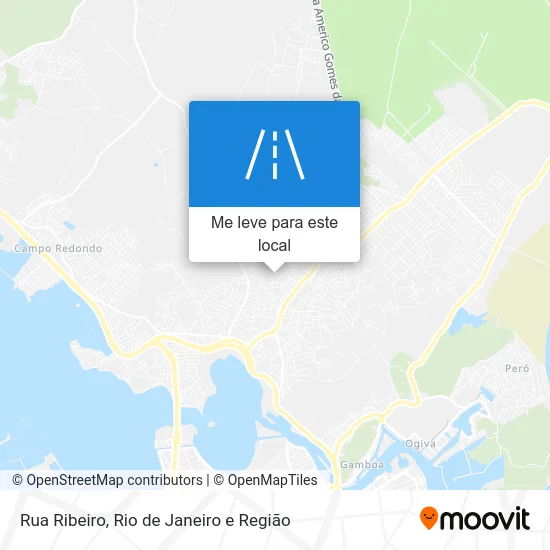 Rua Ribeiro mapa