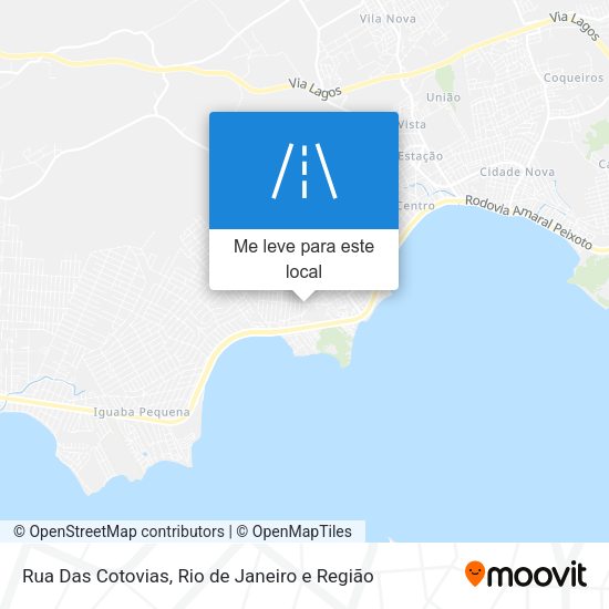 Rua Das Cotovias mapa