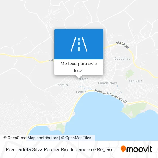 Rua Carlota Silva Pereira mapa