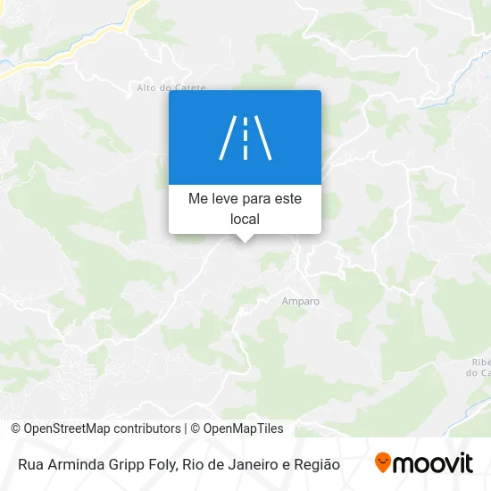 Rua Arminda Gripp Foly mapa